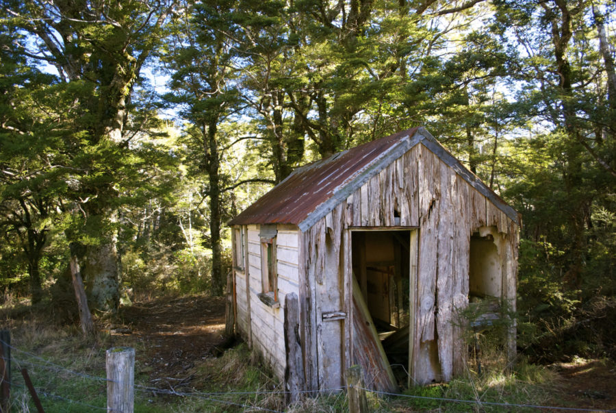 Old shed in need of demolition services