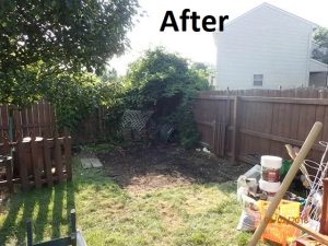 Shed removal after