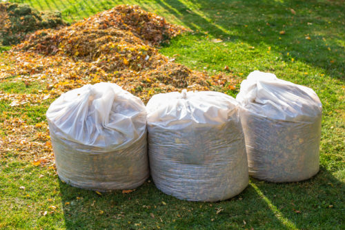 Bags of yard waste after yard debris removal service